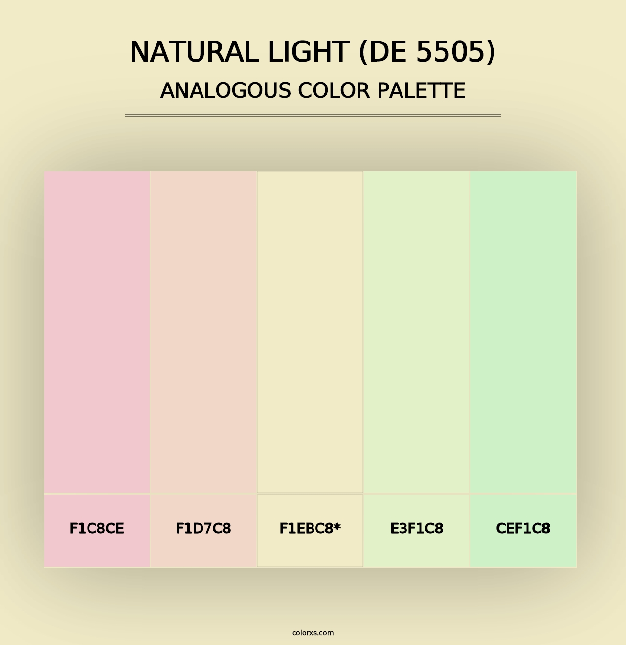 Natural Light (DE 5505) - Analogous Color Palette