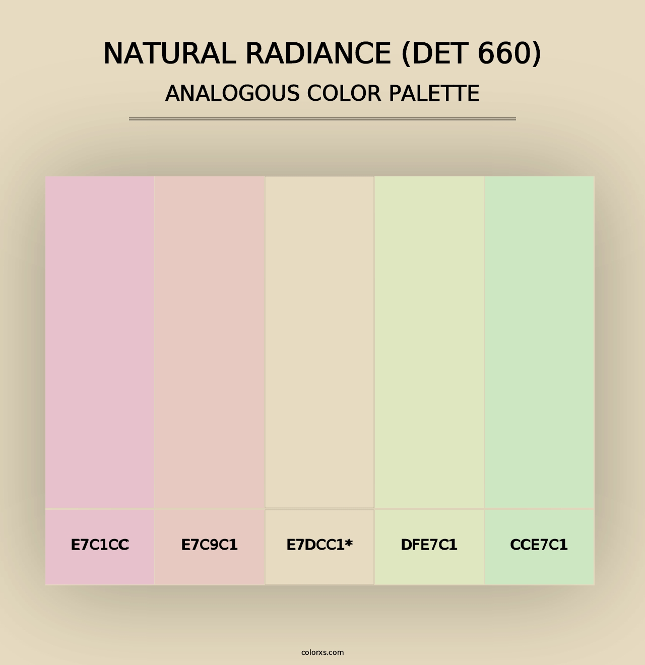 Natural Radiance (DET 660) - Analogous Color Palette