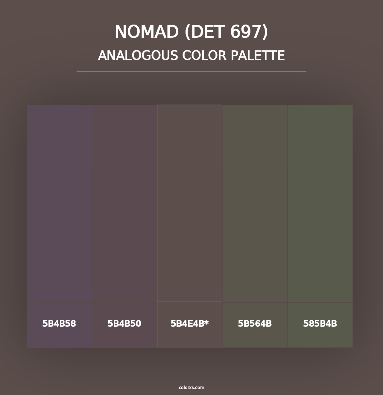 Nomad (DET 697) - Analogous Color Palette