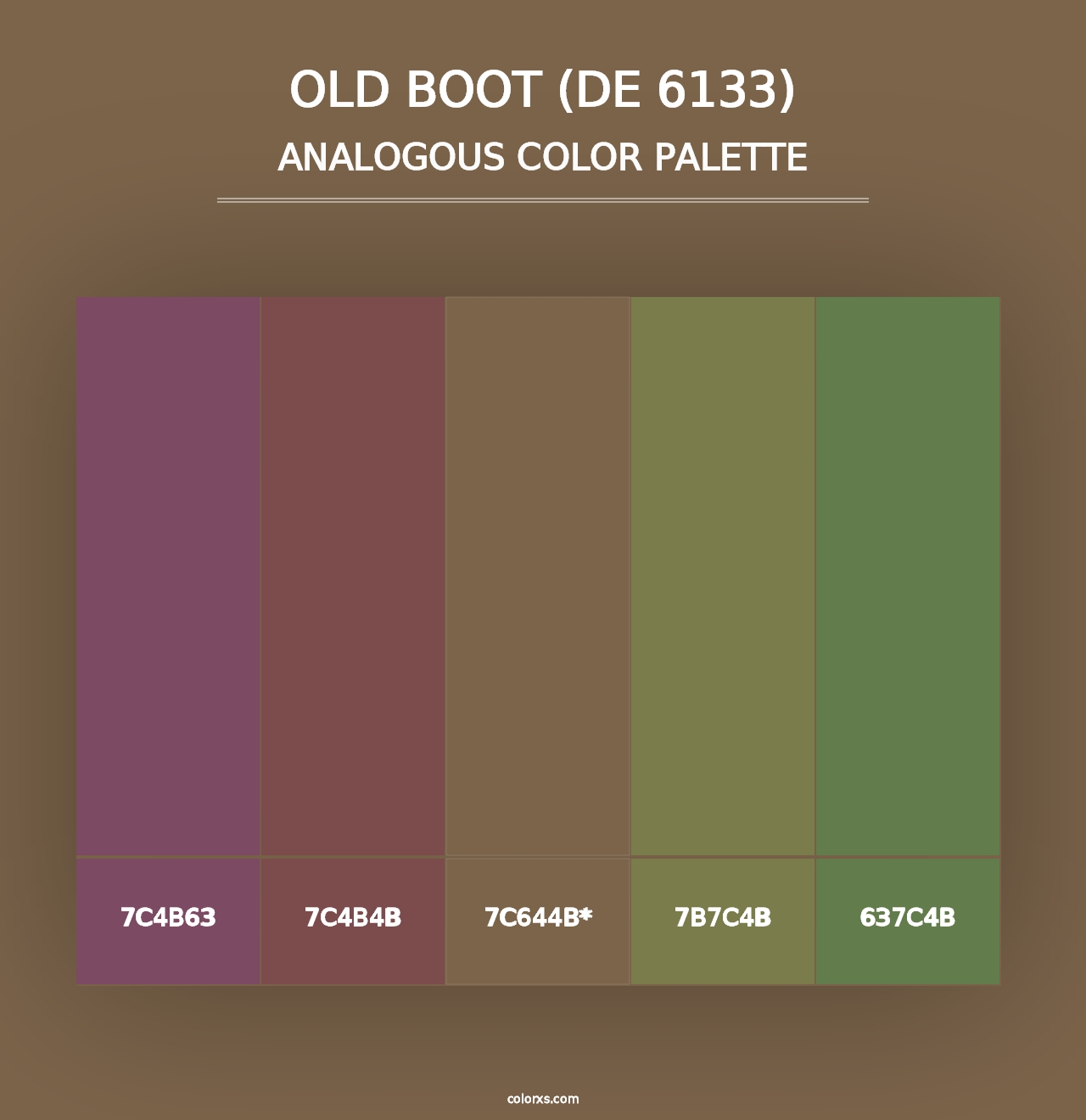 Old Boot (DE 6133) - Analogous Color Palette