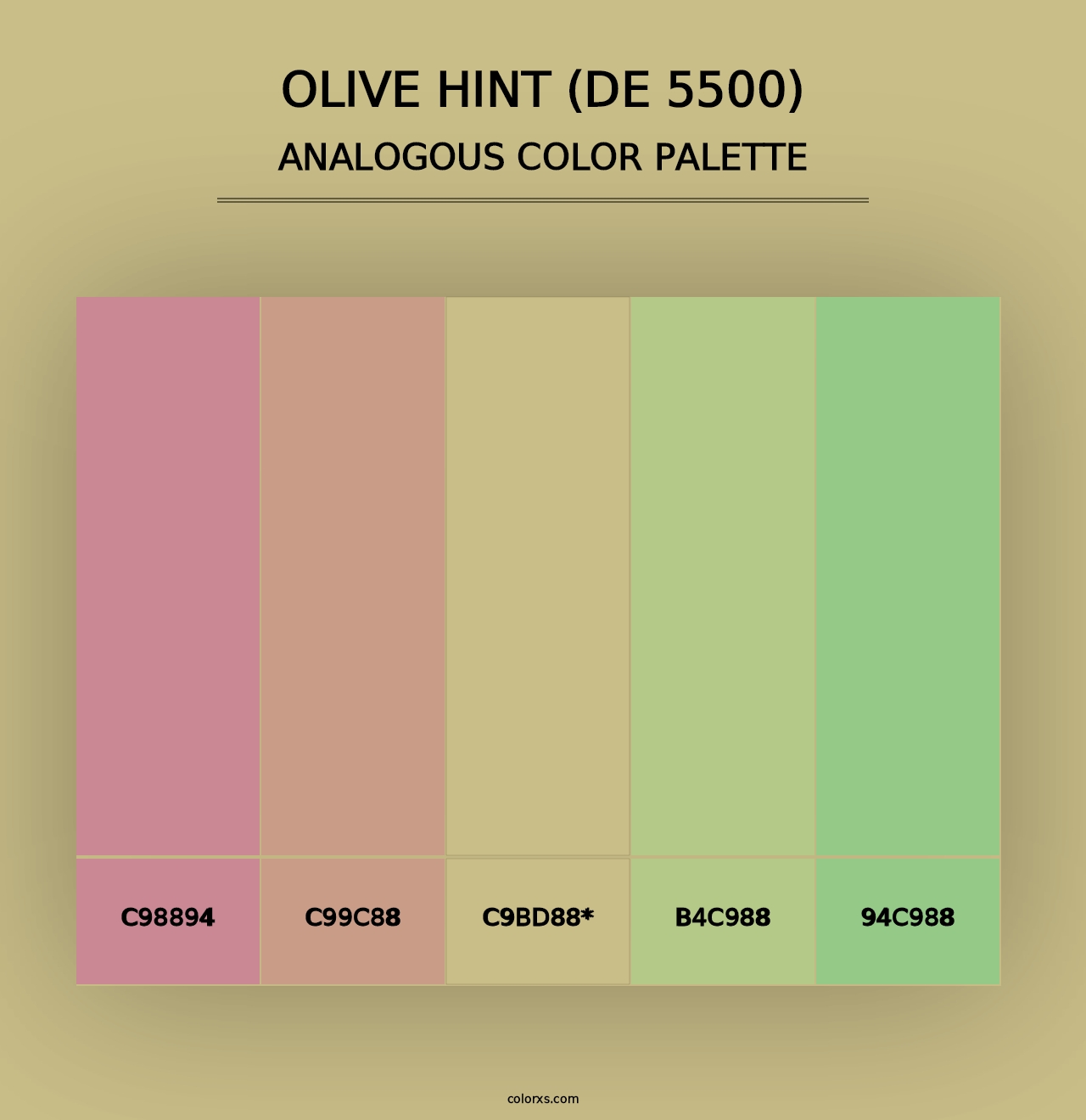 Olive Hint (DE 5500) - Analogous Color Palette