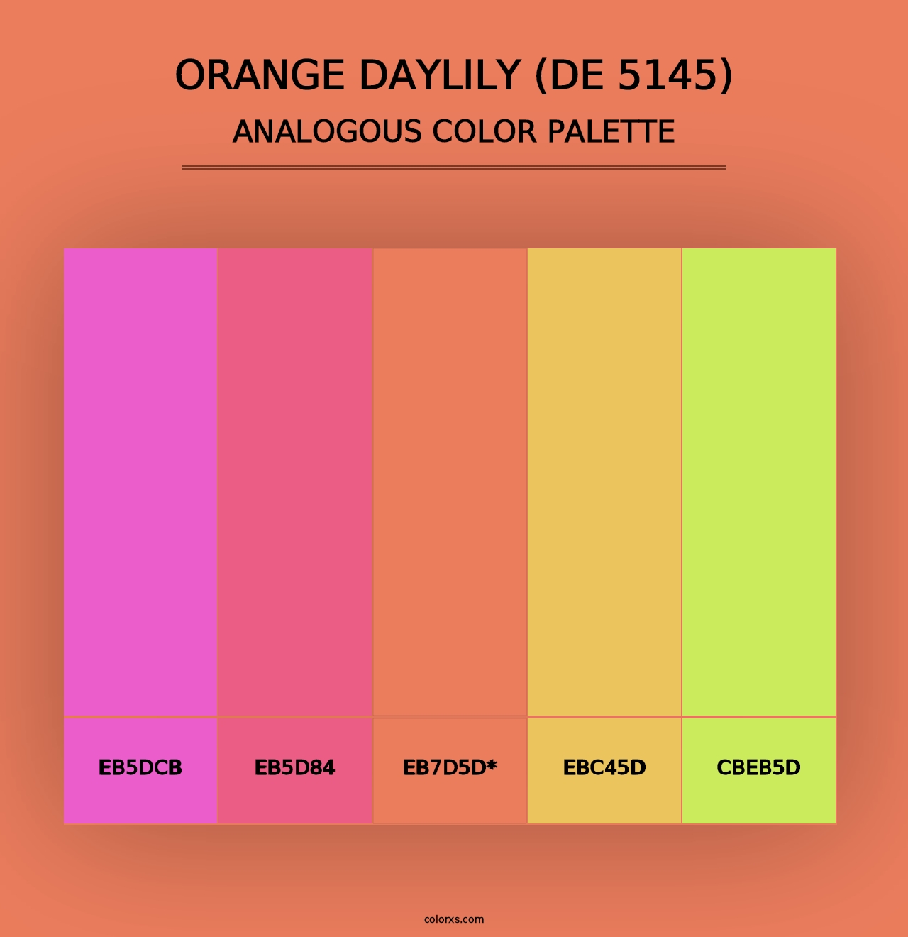 Orange Daylily (DE 5145) - Analogous Color Palette