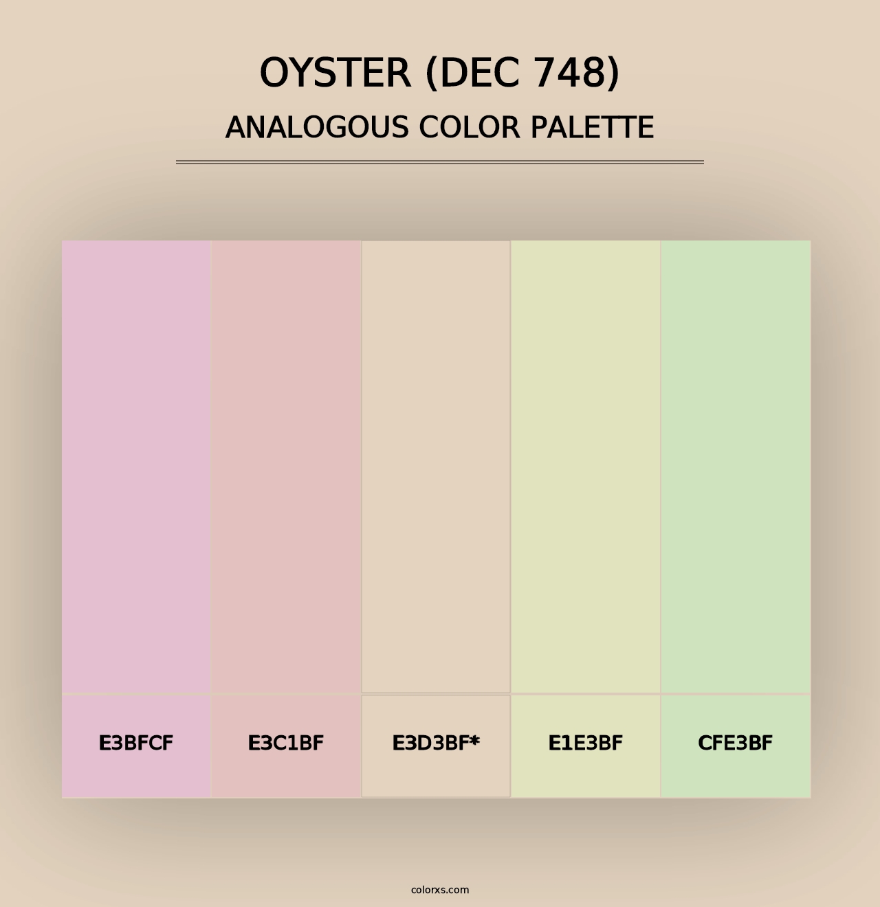 Oyster (DEC 748) - Analogous Color Palette