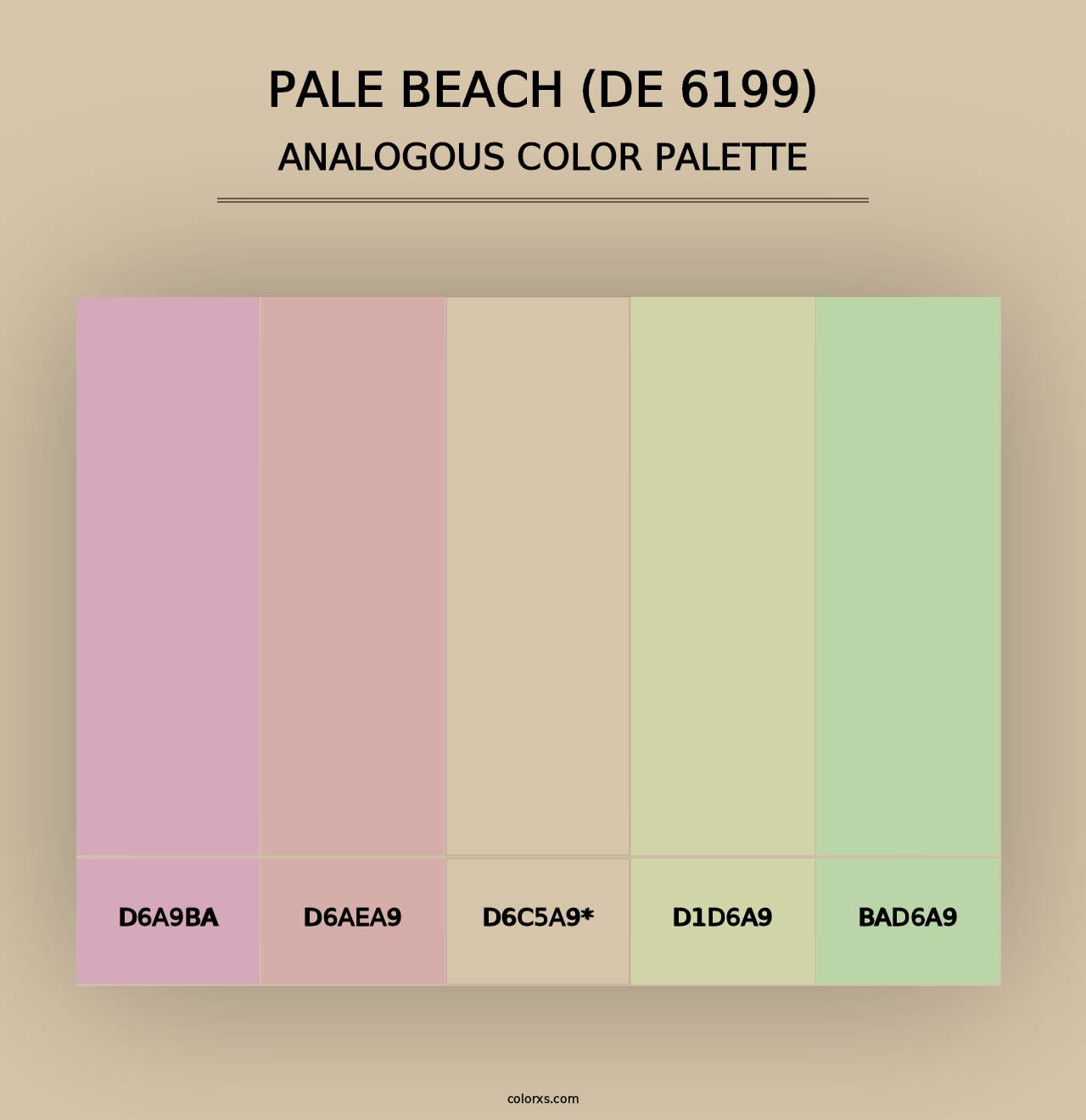 Pale Beach (DE 6199) - Analogous Color Palette