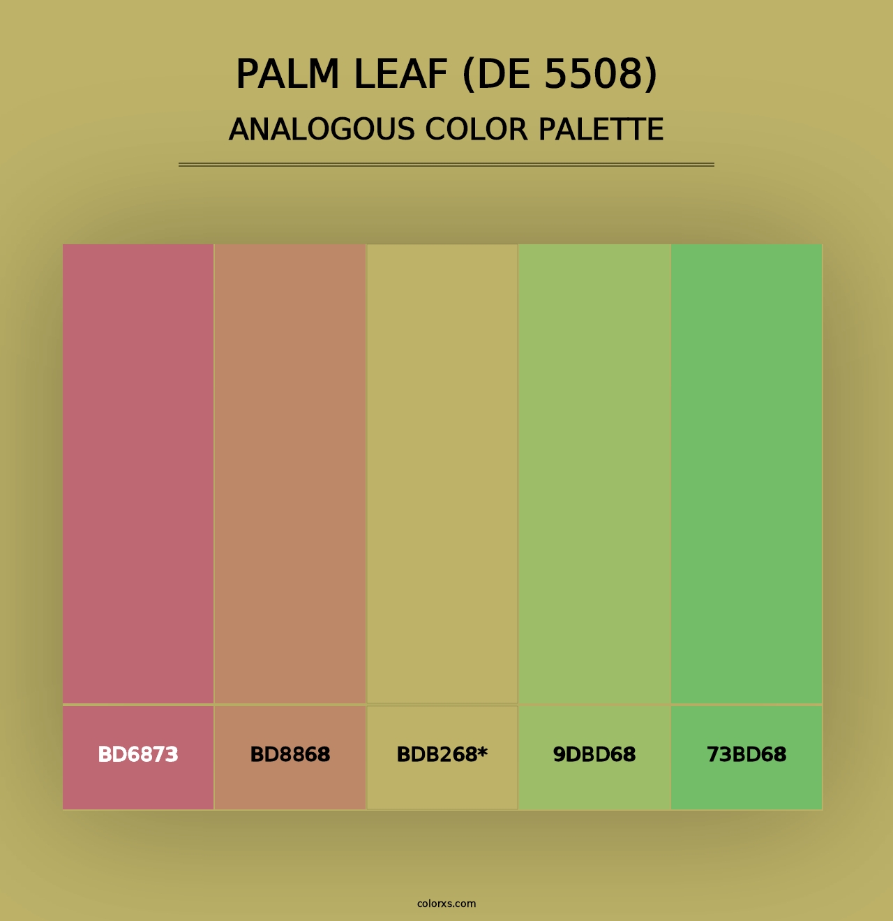 Palm Leaf (DE 5508) - Analogous Color Palette