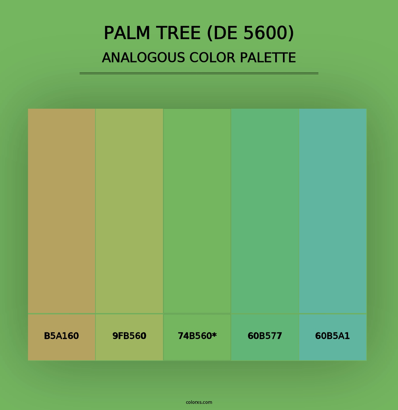 Palm Tree (DE 5600) - Analogous Color Palette