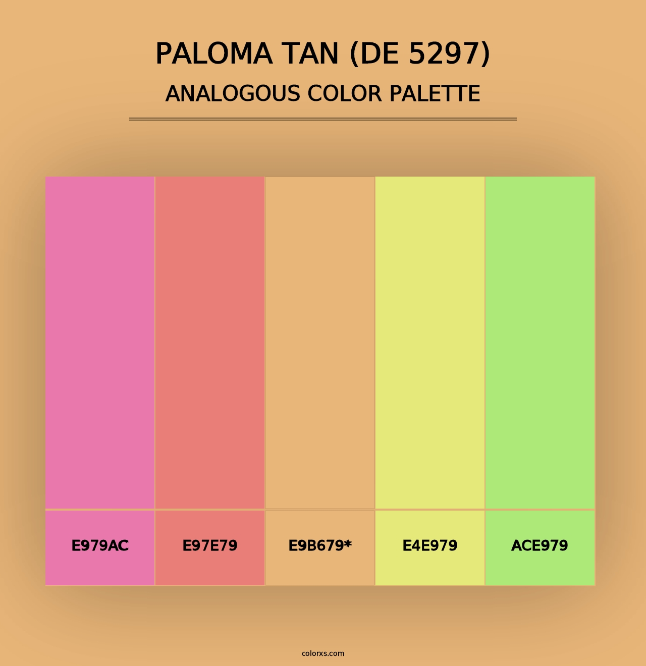 Paloma Tan (DE 5297) - Analogous Color Palette