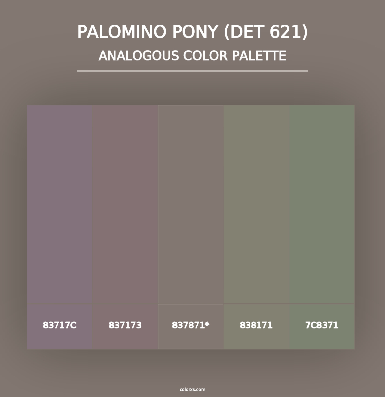 Palomino Pony (DET 621) - Analogous Color Palette