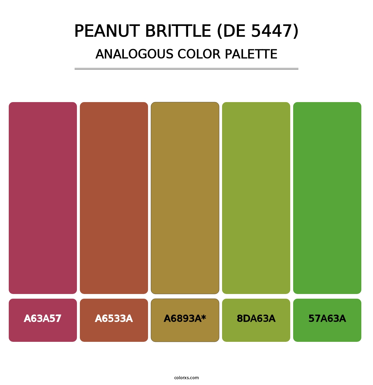 Peanut Brittle (DE 5447) - Analogous Color Palette