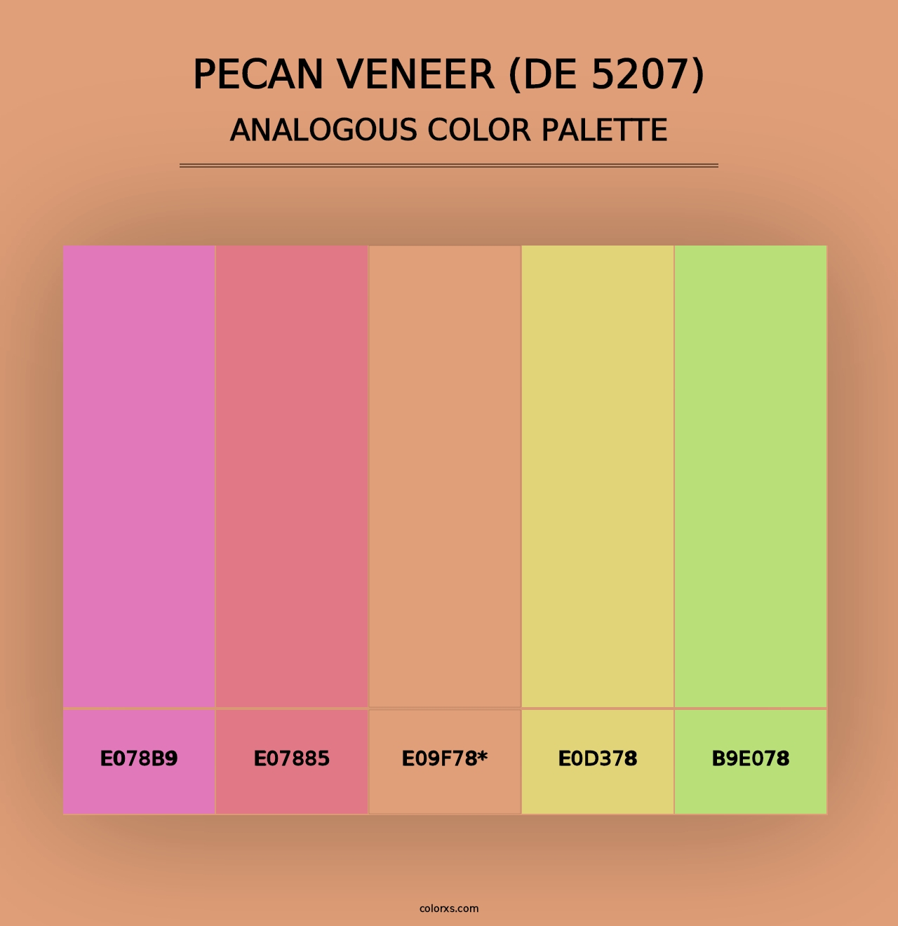 Pecan Veneer (DE 5207) - Analogous Color Palette