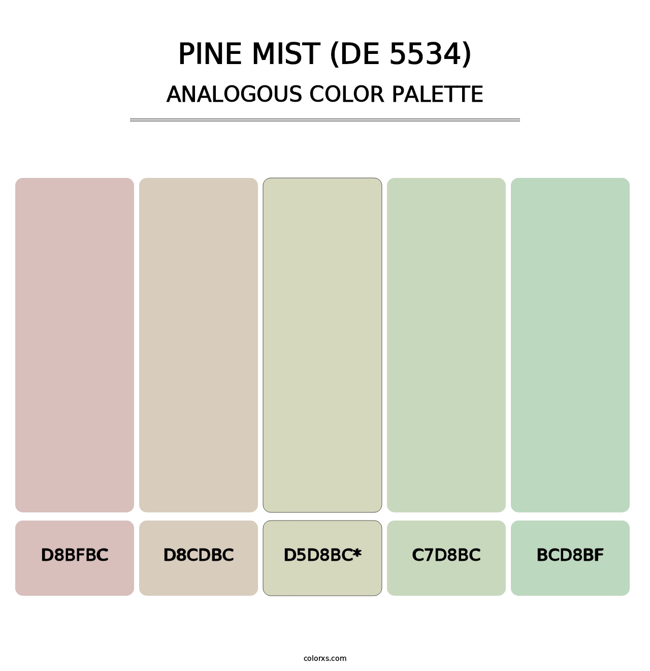 Pine Mist (DE 5534) - Analogous Color Palette