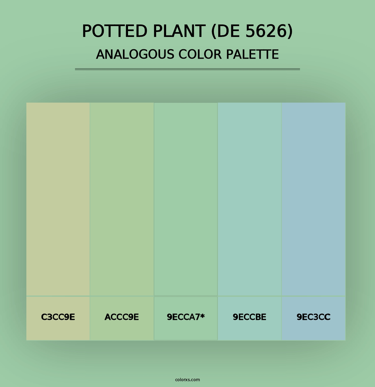 Potted Plant (DE 5626) - Analogous Color Palette