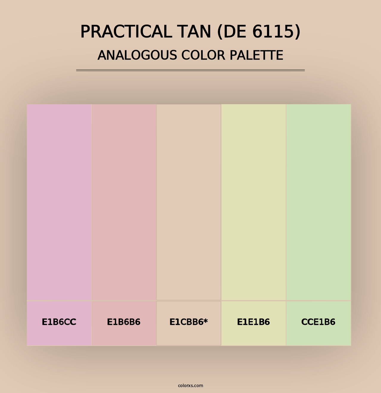 Practical Tan (DE 6115) - Analogous Color Palette