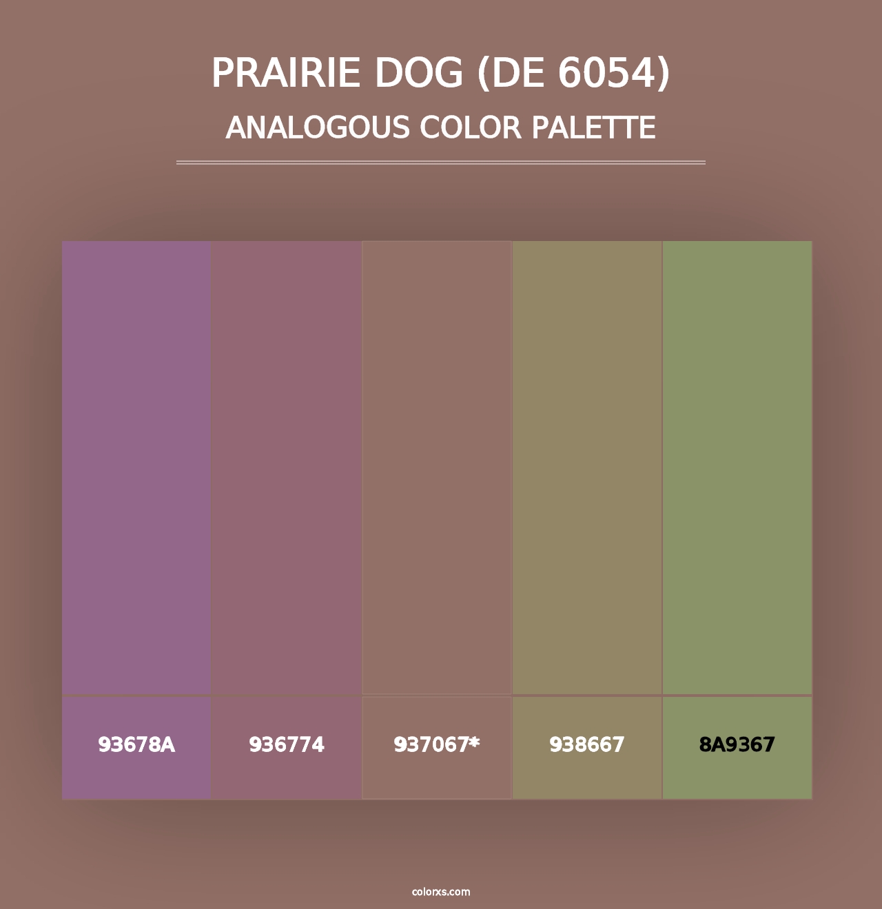 Prairie Dog (DE 6054) - Analogous Color Palette