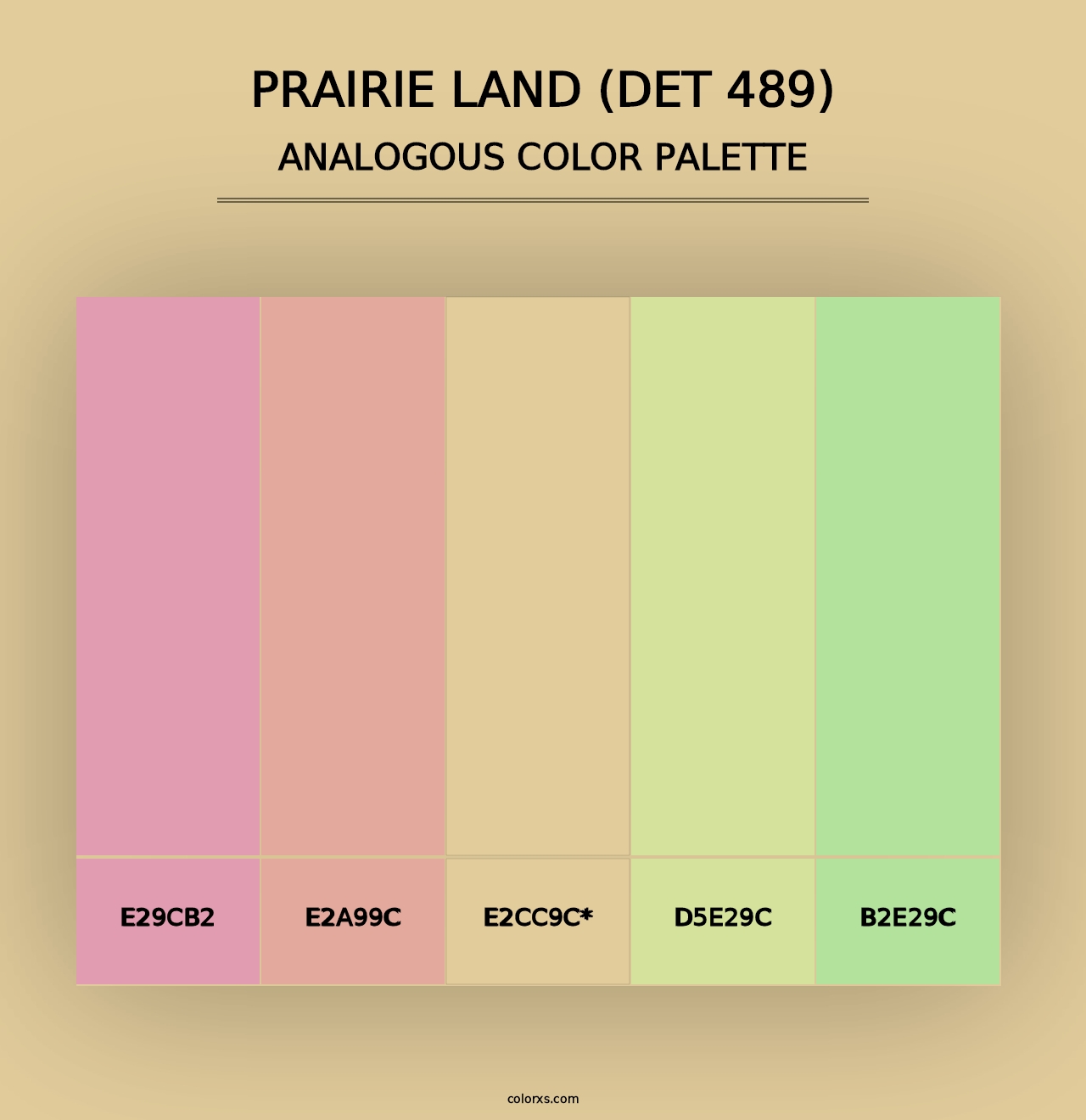 Prairie Land (DET 489) - Analogous Color Palette