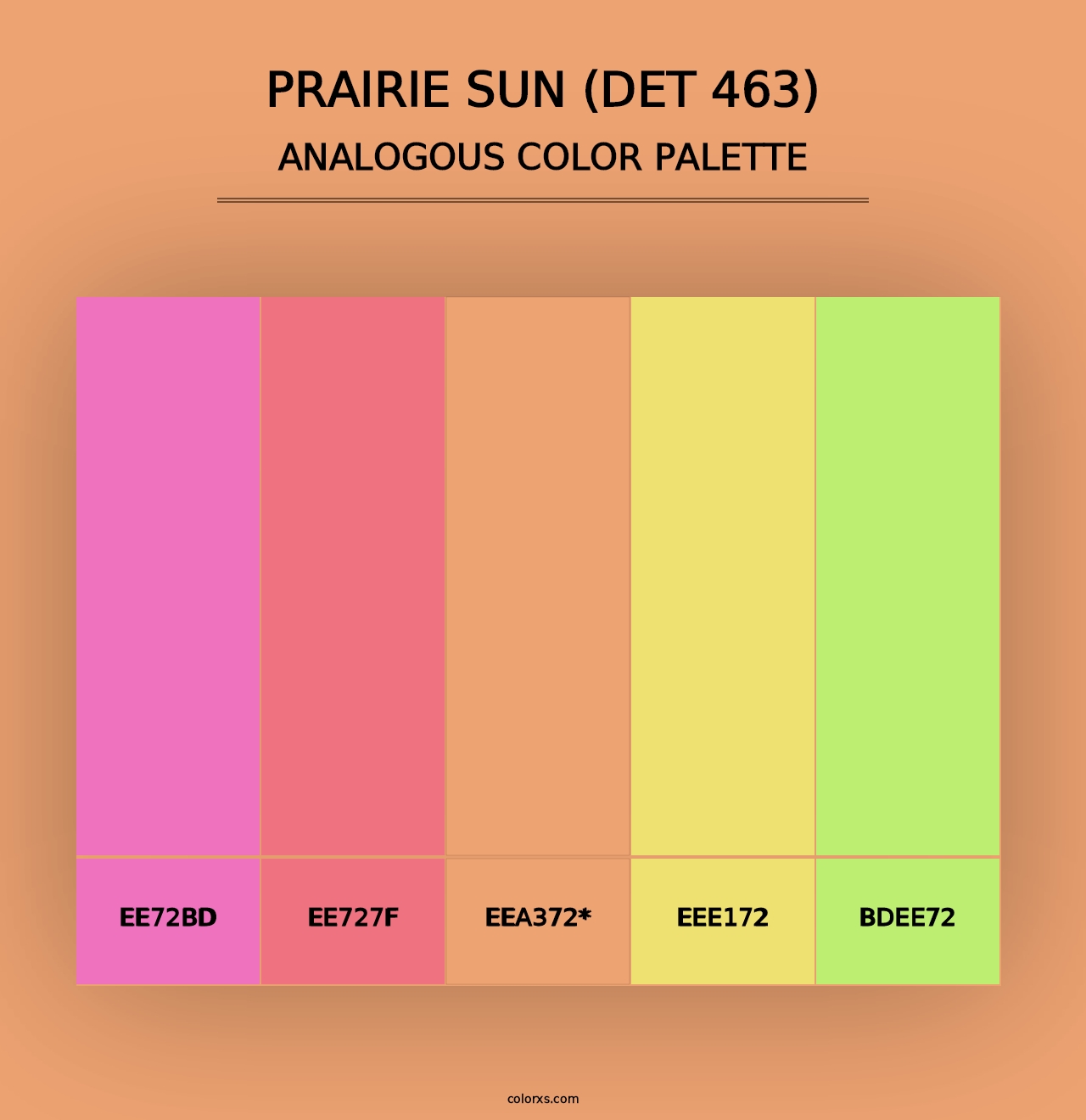 Prairie Sun (DET 463) - Analogous Color Palette