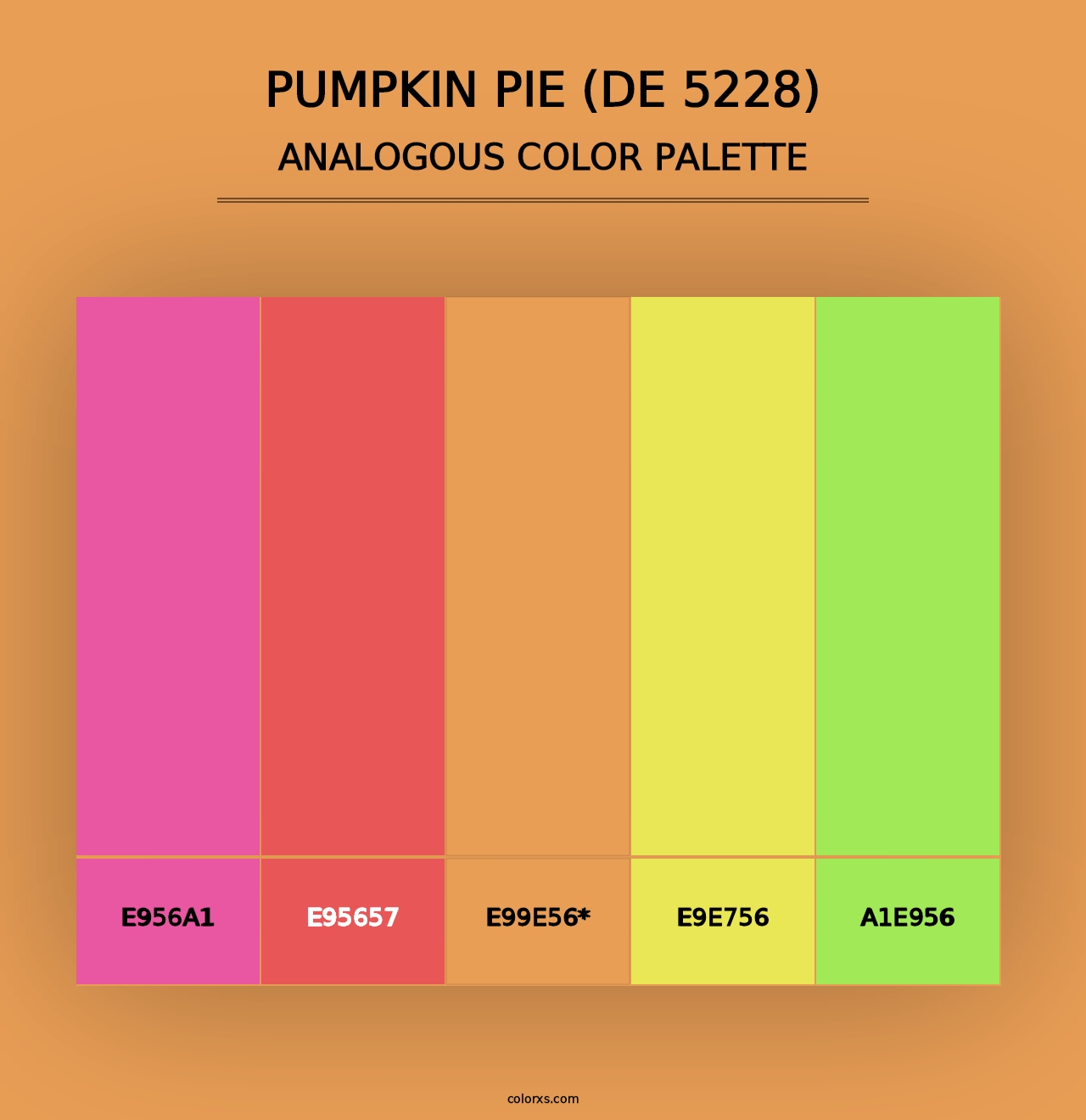 Pumpkin Pie (DE 5228) - Analogous Color Palette