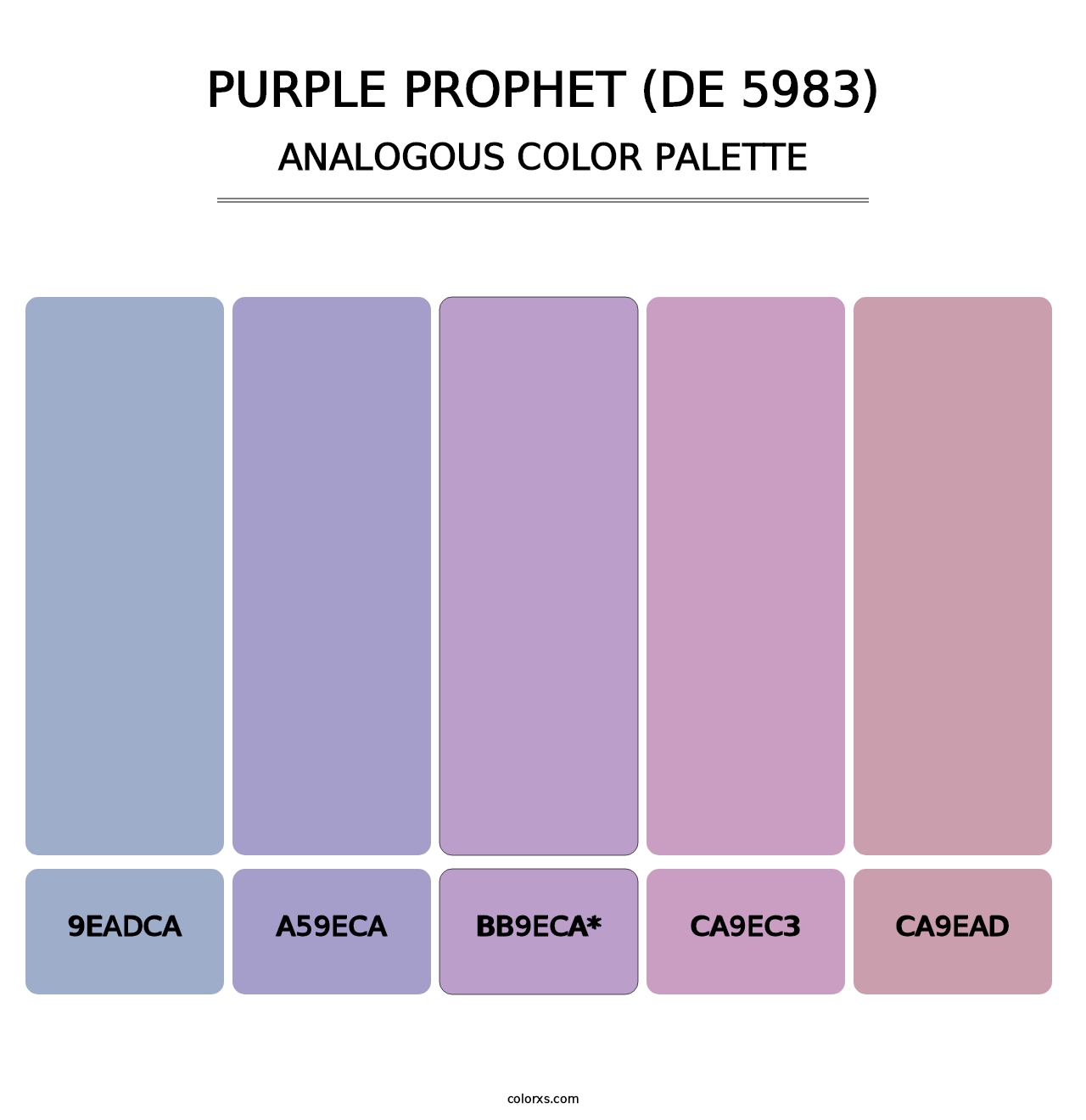 Purple Prophet (DE 5983) - Analogous Color Palette