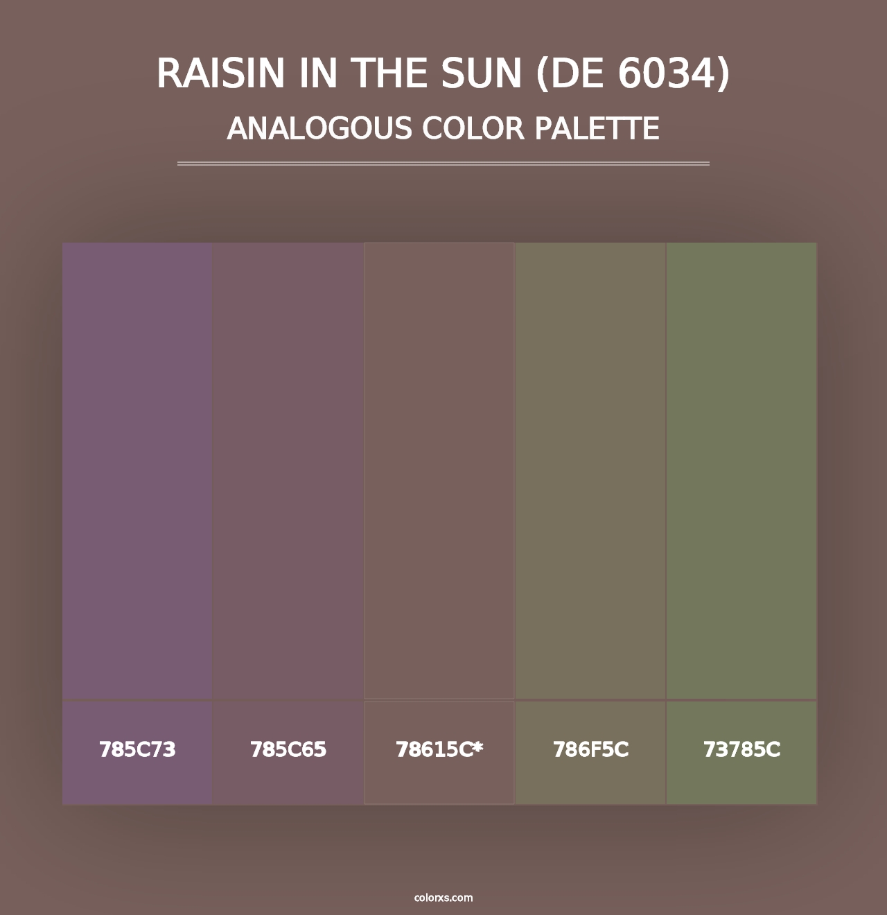 Raisin in the Sun (DE 6034) - Analogous Color Palette