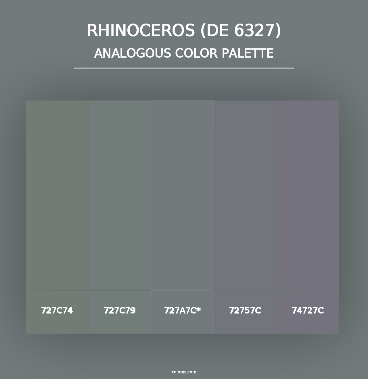 Rhinoceros (DE 6327) - Analogous Color Palette