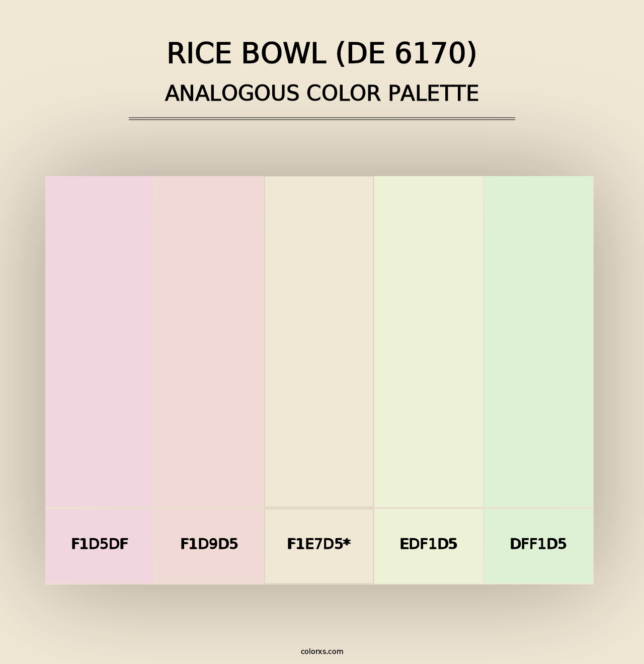 Rice Bowl (DE 6170) - Analogous Color Palette