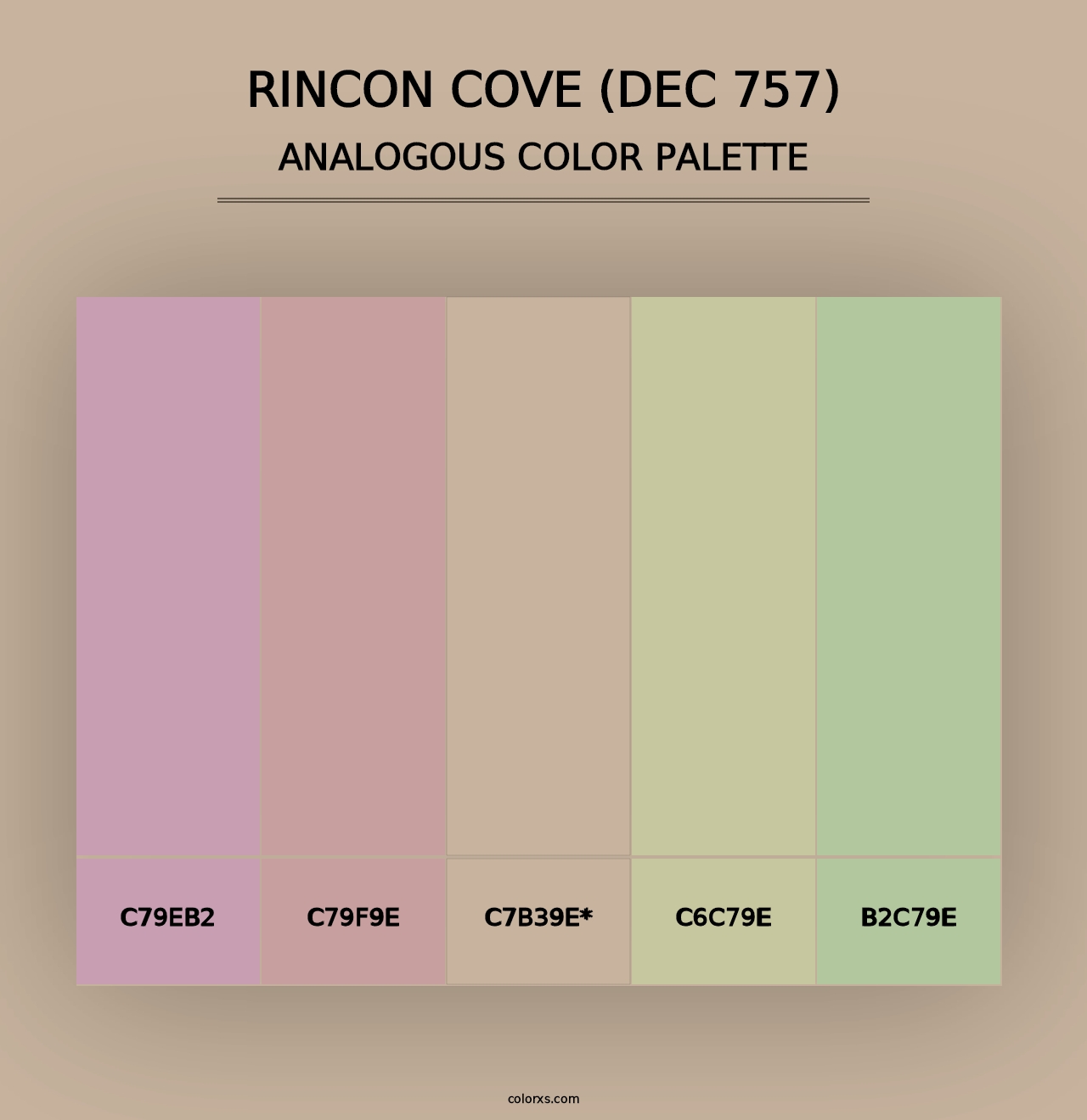 Rincon Cove (DEC 757) - Analogous Color Palette