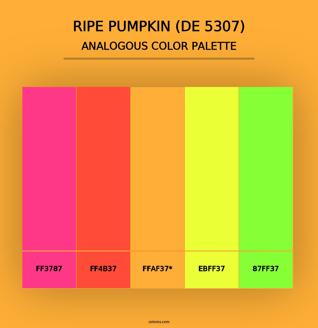 Ripe Pumpkin (DE 5307) - Analogous Color Palette