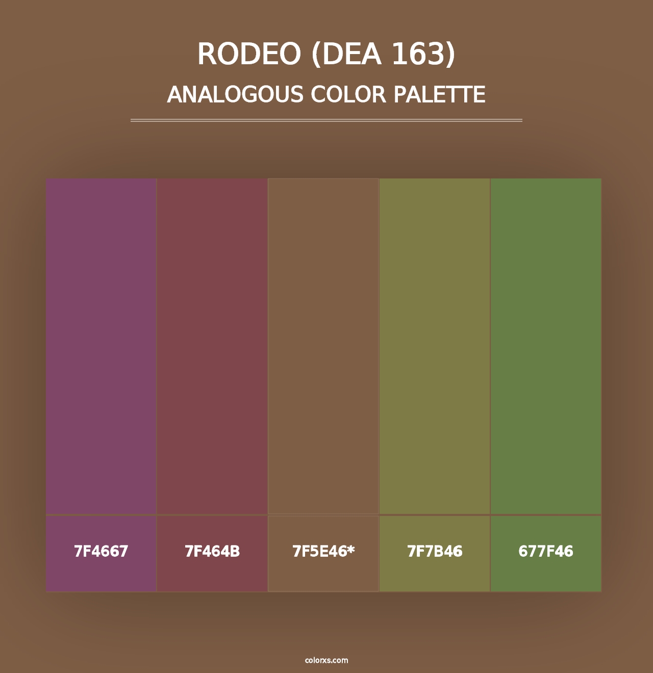 Rodeo (DEA 163) - Analogous Color Palette