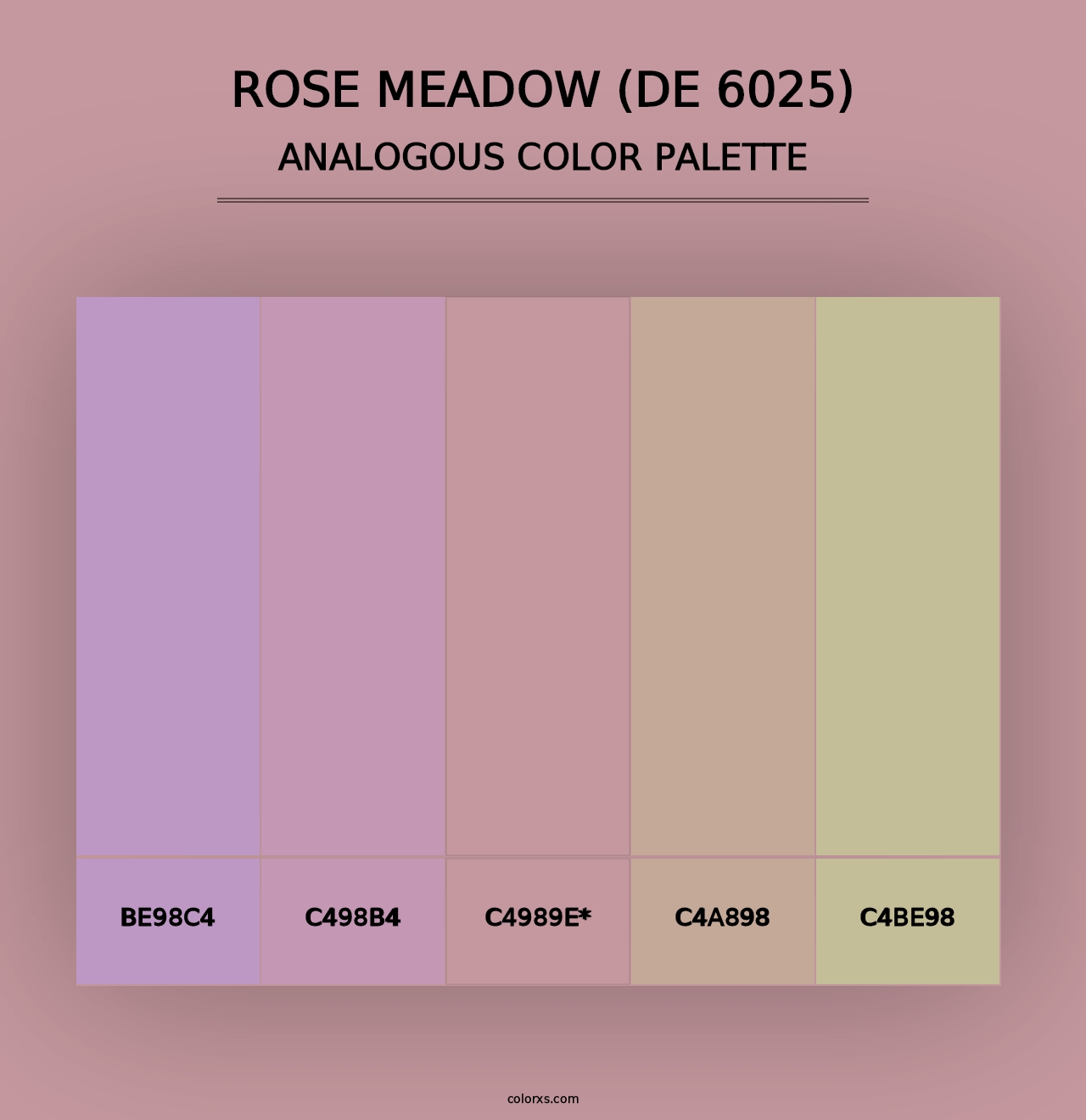 Rose Meadow (DE 6025) - Analogous Color Palette