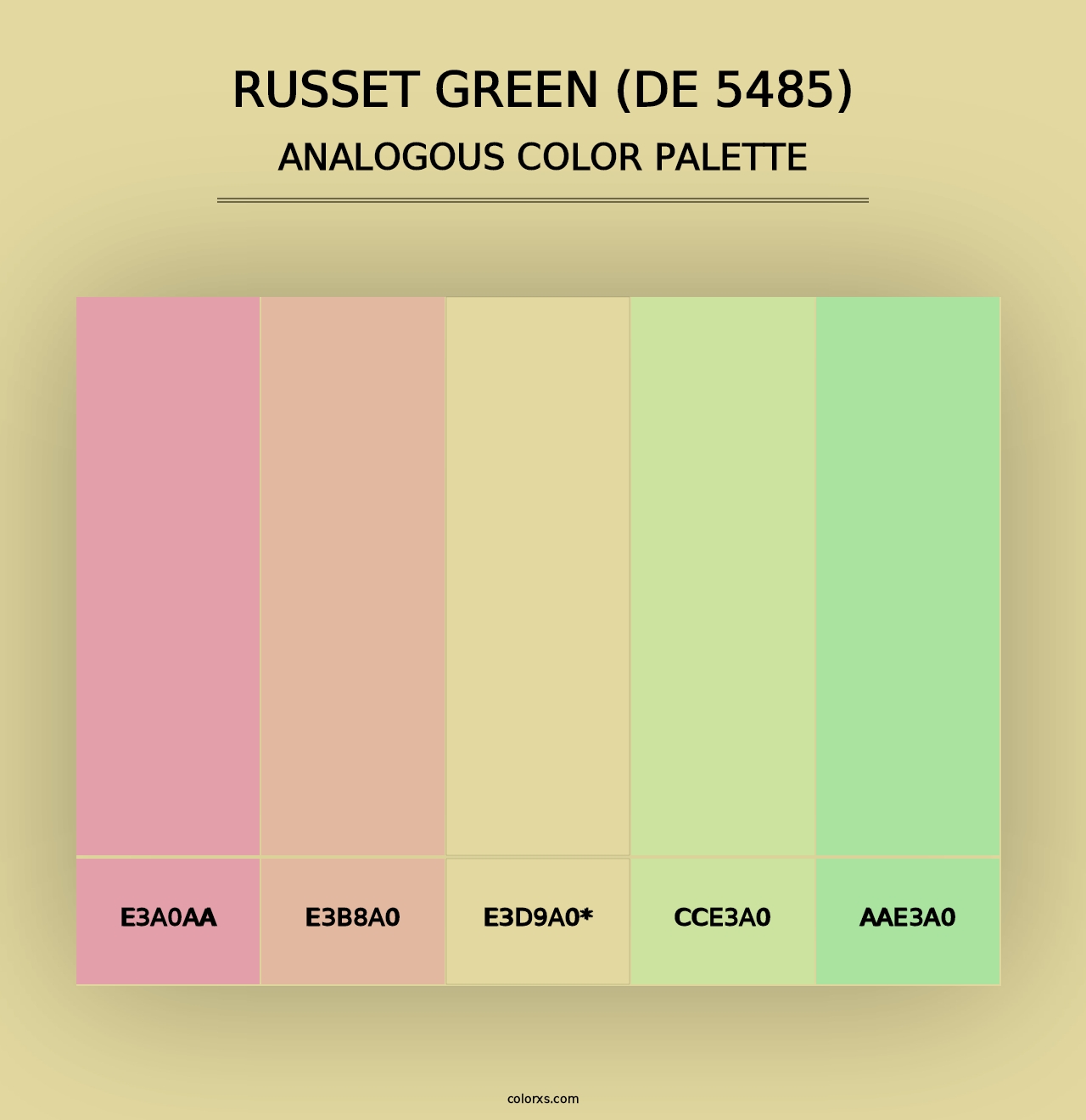 Russet Green (DE 5485) - Analogous Color Palette