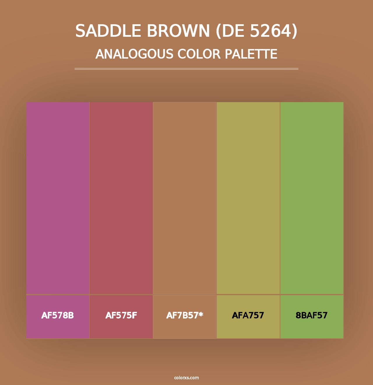 Saddle Brown (DE 5264) - Analogous Color Palette