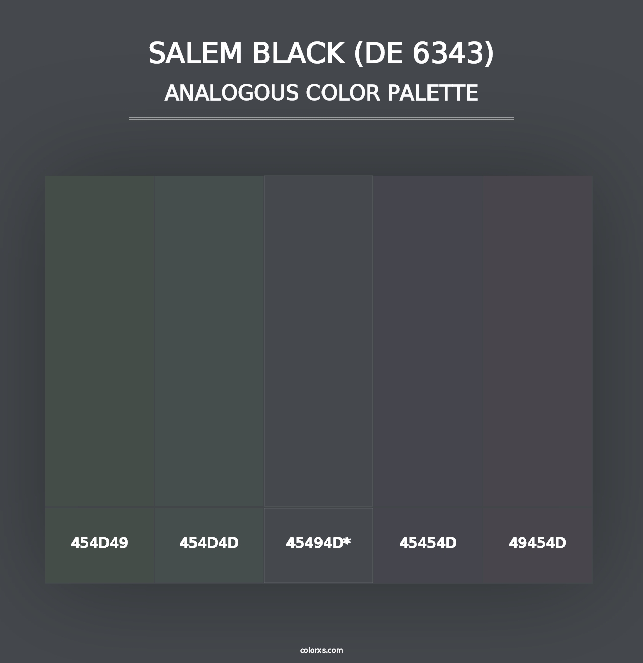 Salem Black (DE 6343) - Analogous Color Palette