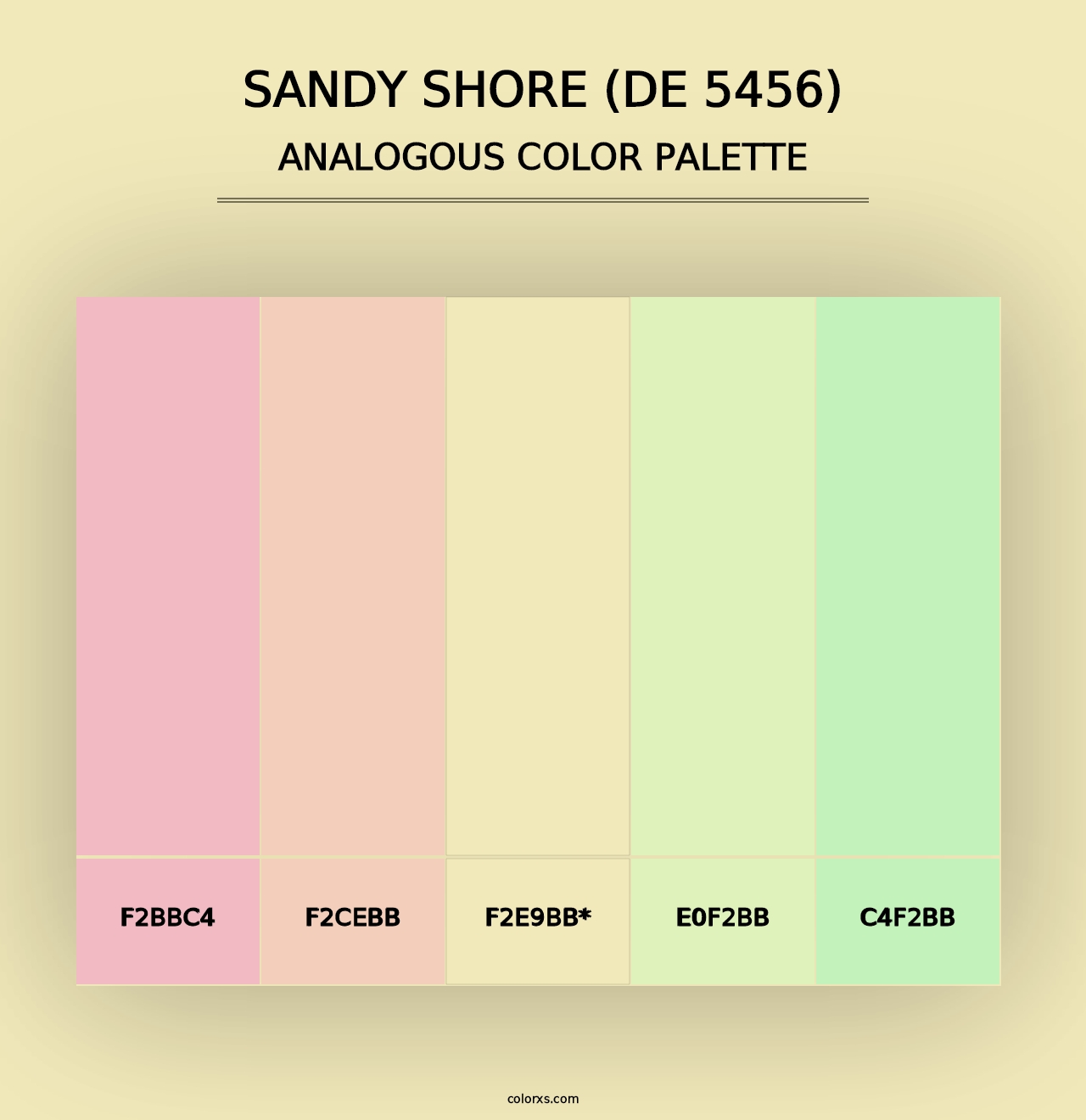 Sandy Shore (DE 5456) - Analogous Color Palette