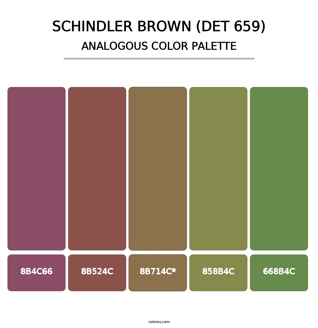 Schindler Brown (DET 659) - Analogous Color Palette