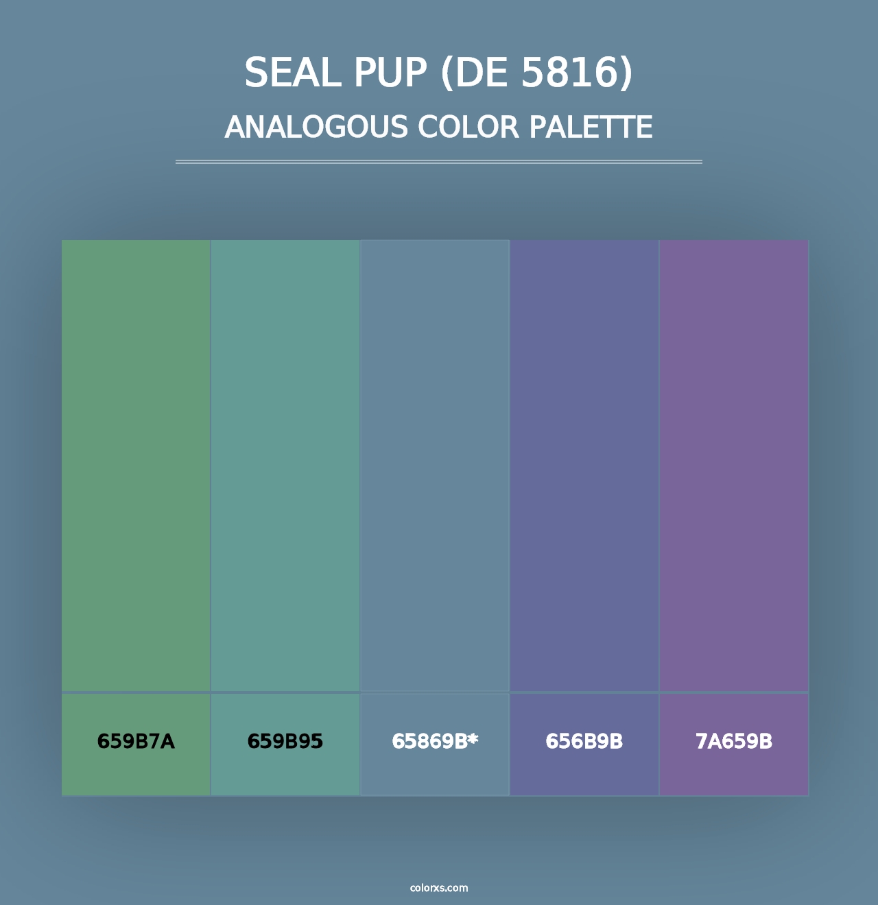 Seal Pup (DE 5816) - Analogous Color Palette