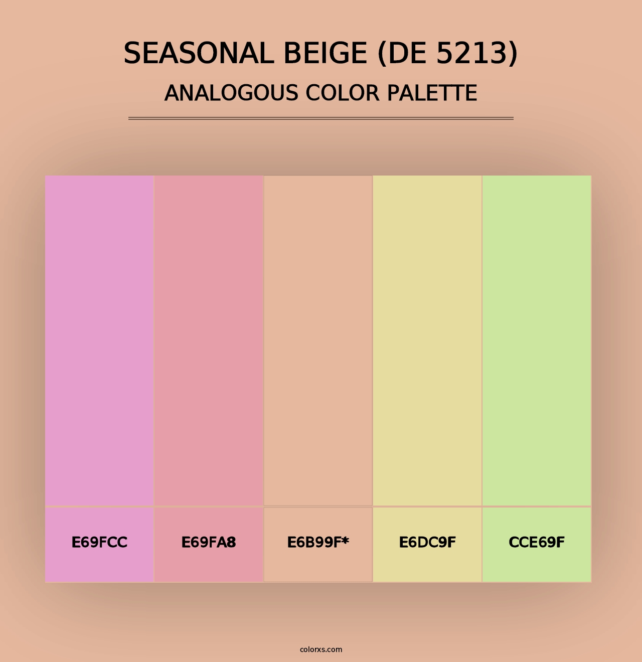 Seasonal Beige (DE 5213) - Analogous Color Palette