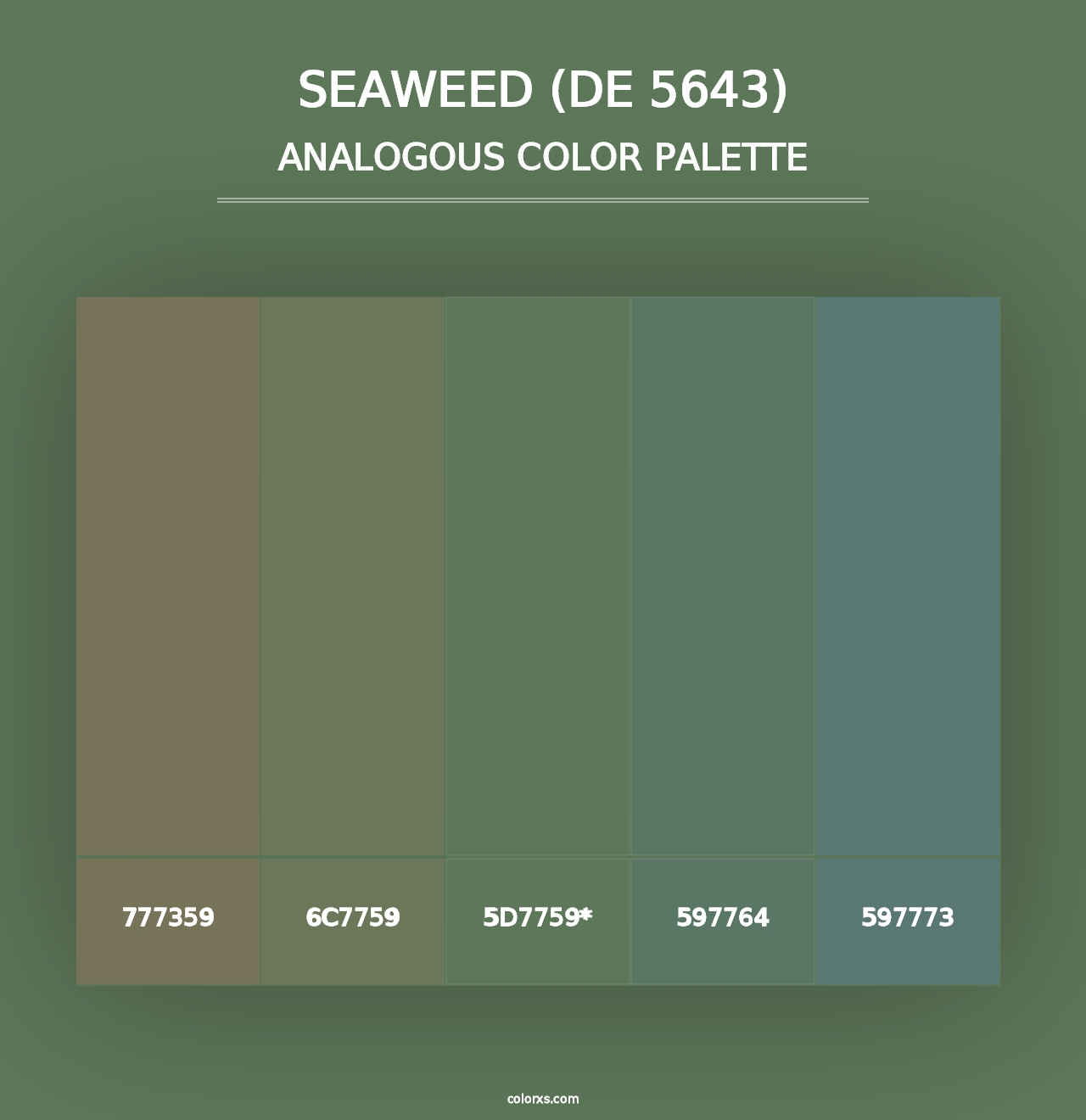 Seaweed (DE 5643) - Analogous Color Palette