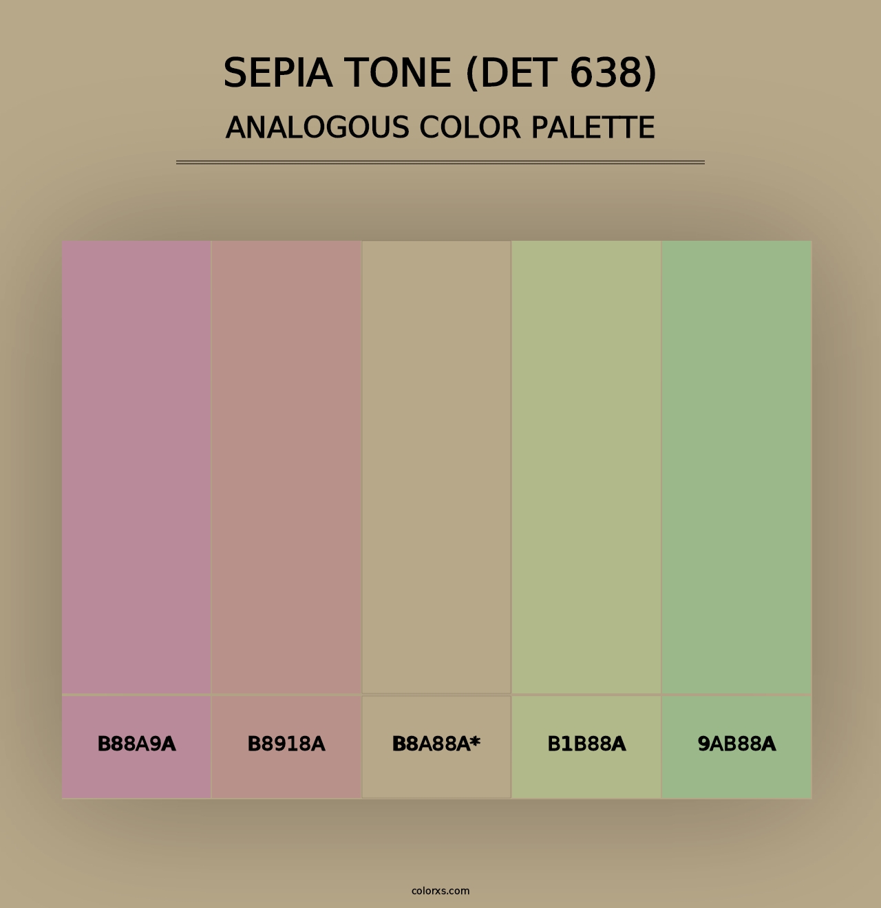 Sepia Tone (DET 638) - Analogous Color Palette