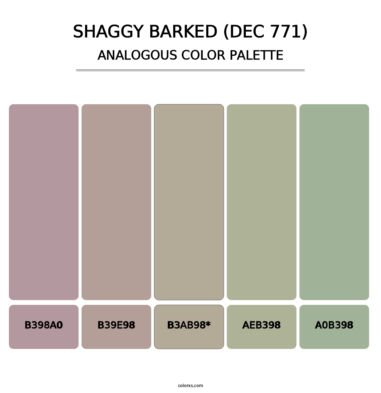 Shaggy Barked (DEC 771) - Analogous Color Palette