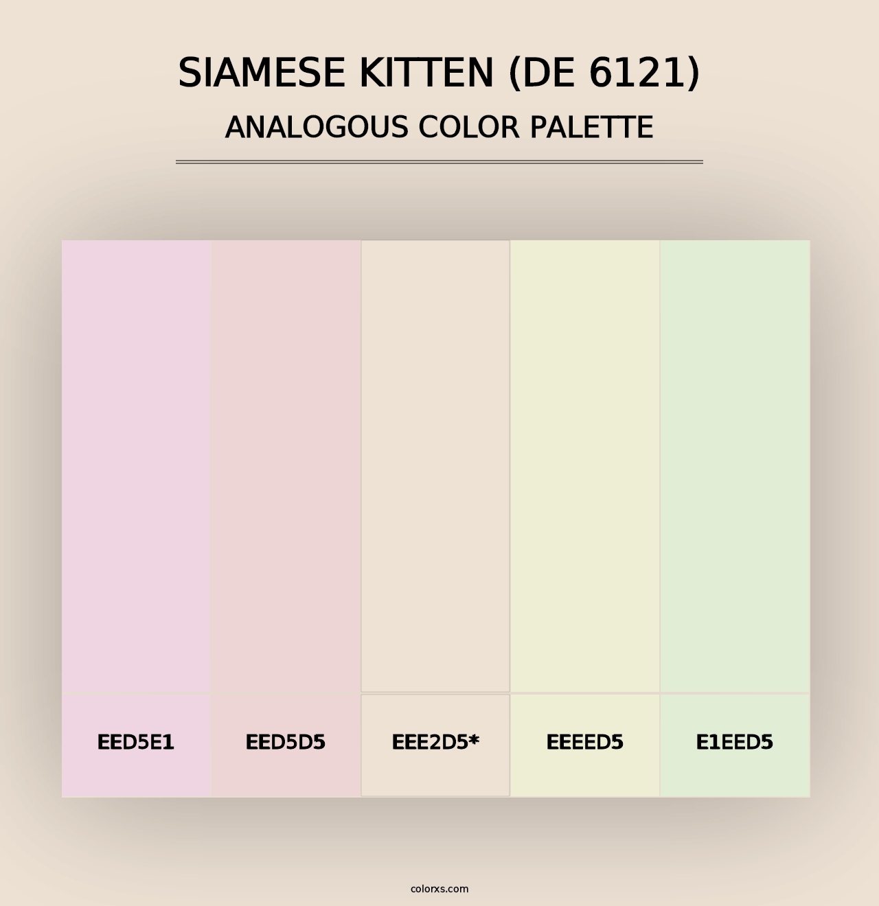 Siamese Kitten (DE 6121) - Analogous Color Palette