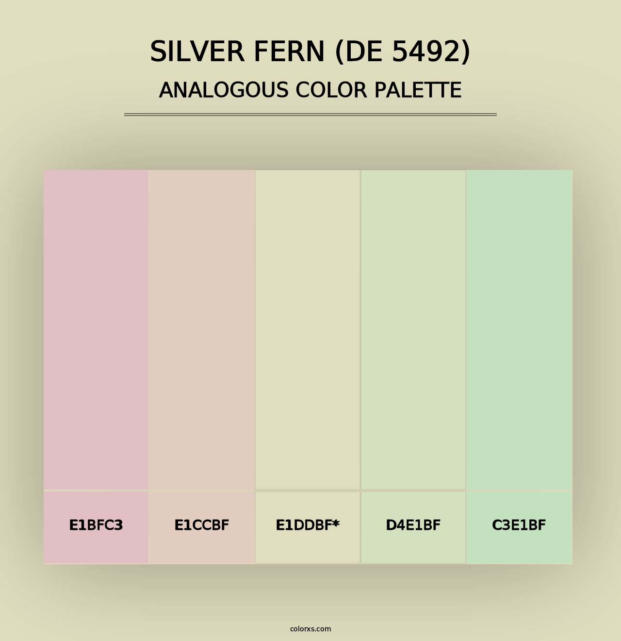 Silver Fern (DE 5492) - Analogous Color Palette