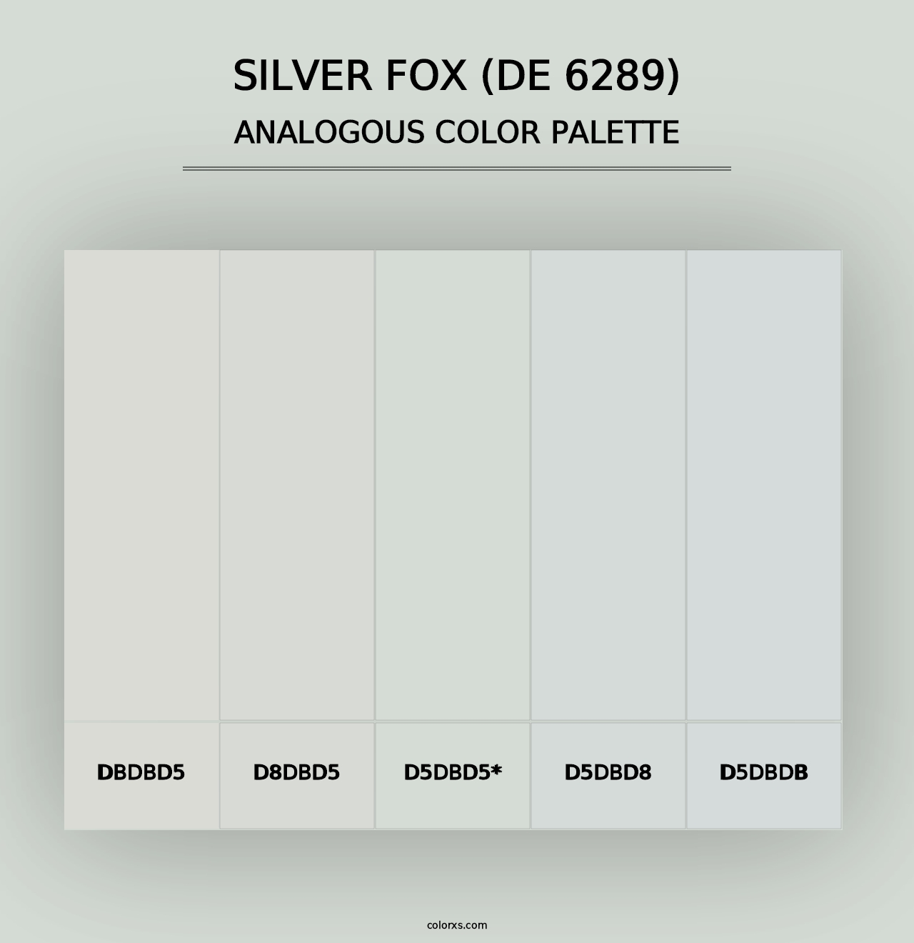 Silver Fox (DE 6289) - Analogous Color Palette