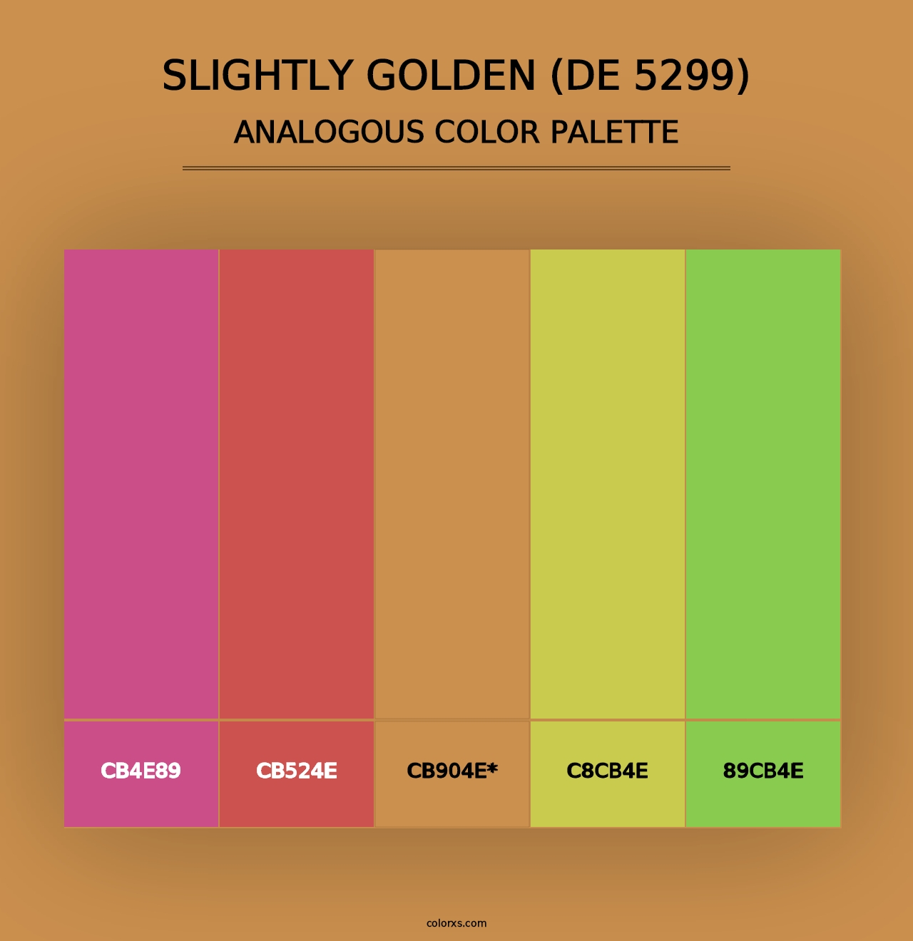 Slightly Golden (DE 5299) - Analogous Color Palette