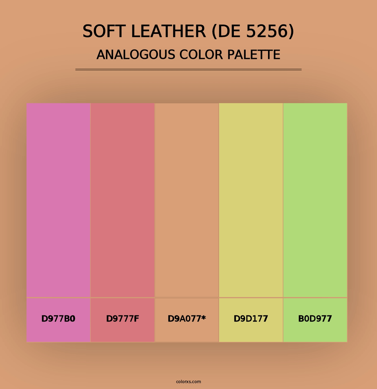 Soft Leather (DE 5256) - Analogous Color Palette