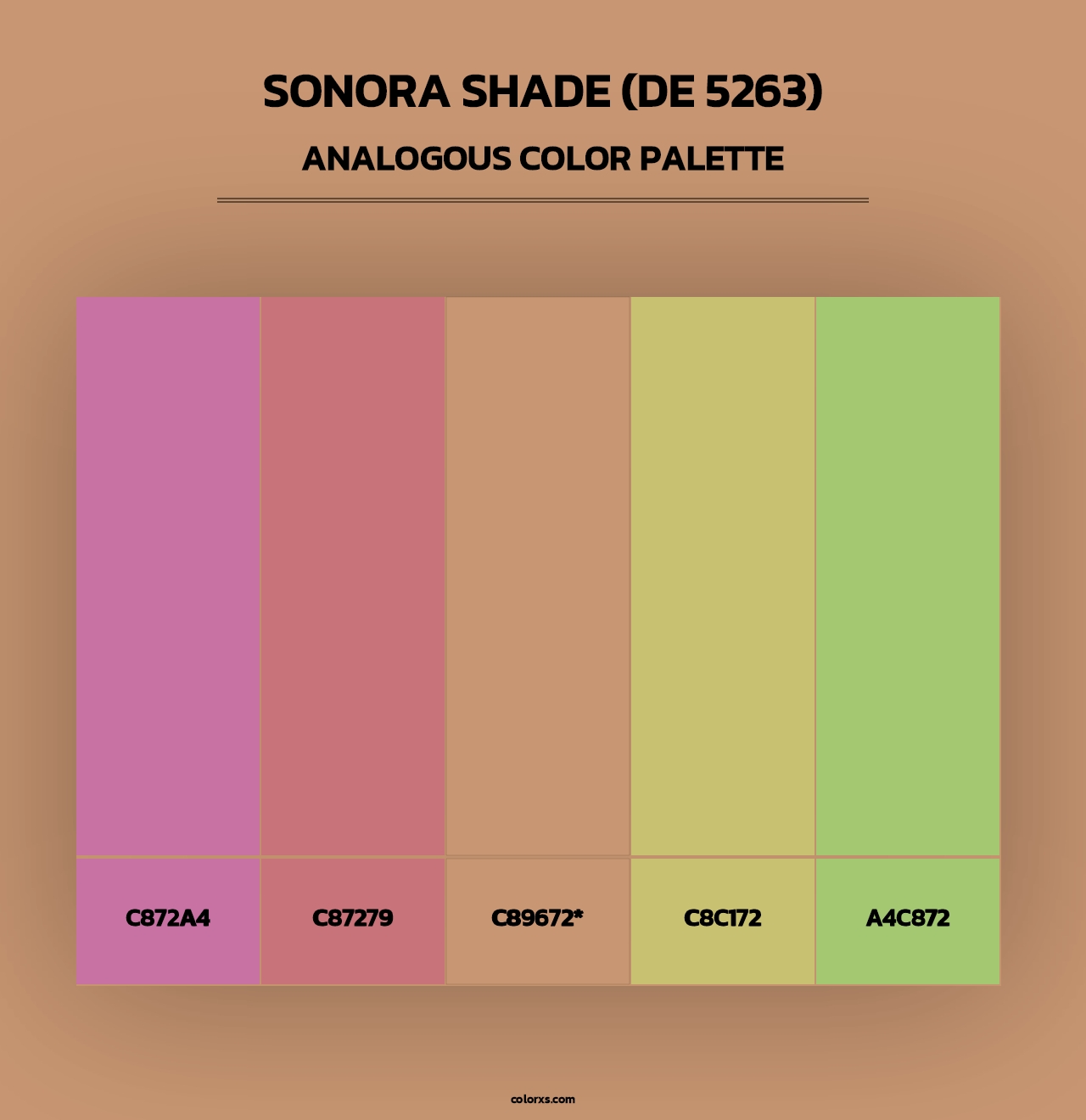 Sonora Shade (DE 5263) - Analogous Color Palette