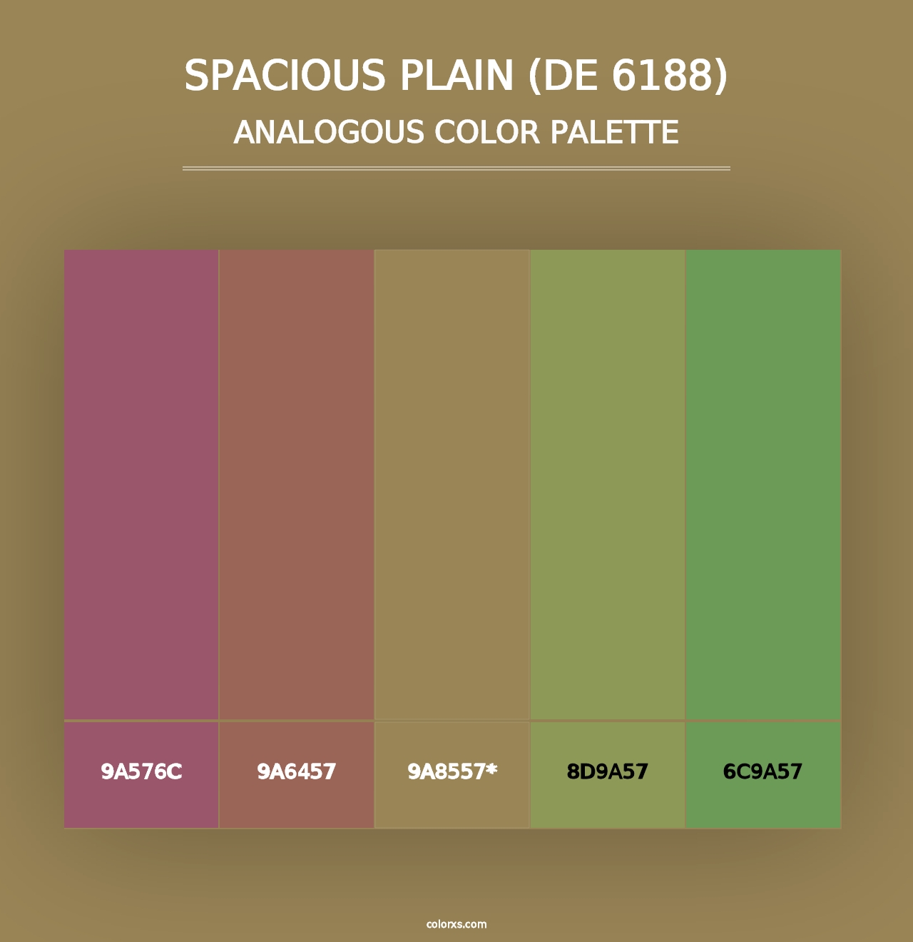 Spacious Plain (DE 6188) - Analogous Color Palette