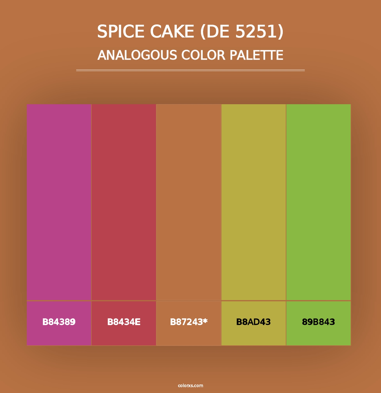 Spice Cake (DE 5251) - Analogous Color Palette