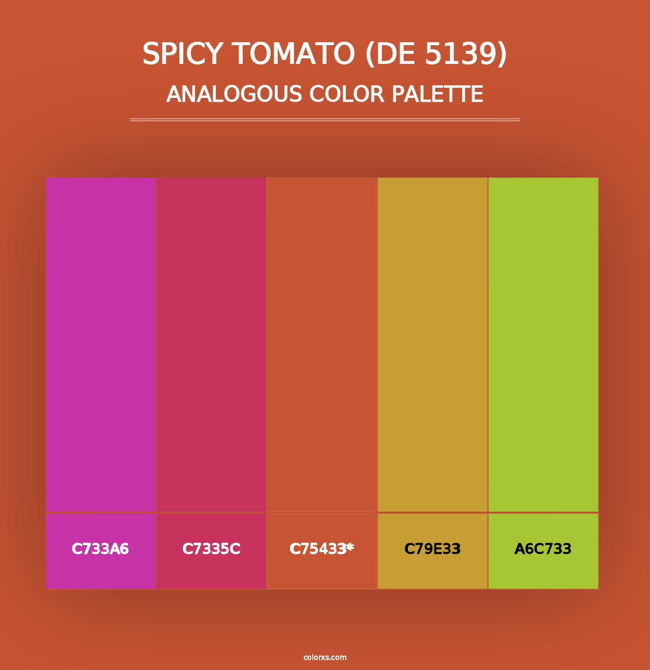 Spicy Tomato (DE 5139) - Analogous Color Palette