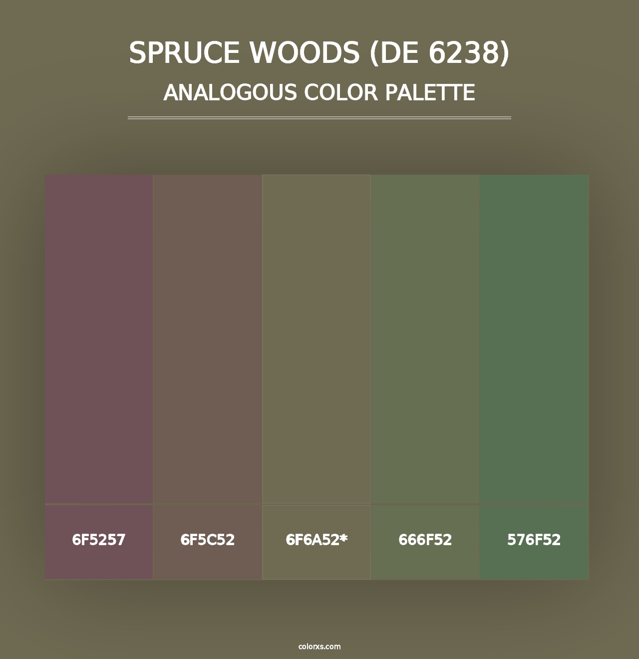 Spruce Woods (DE 6238) - Analogous Color Palette