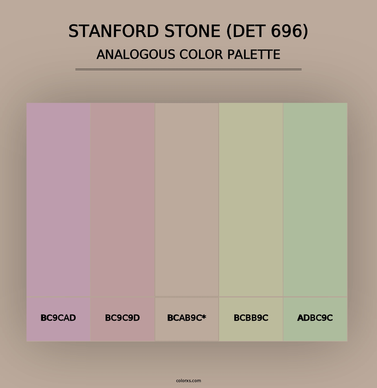 Stanford Stone (DET 696) - Analogous Color Palette